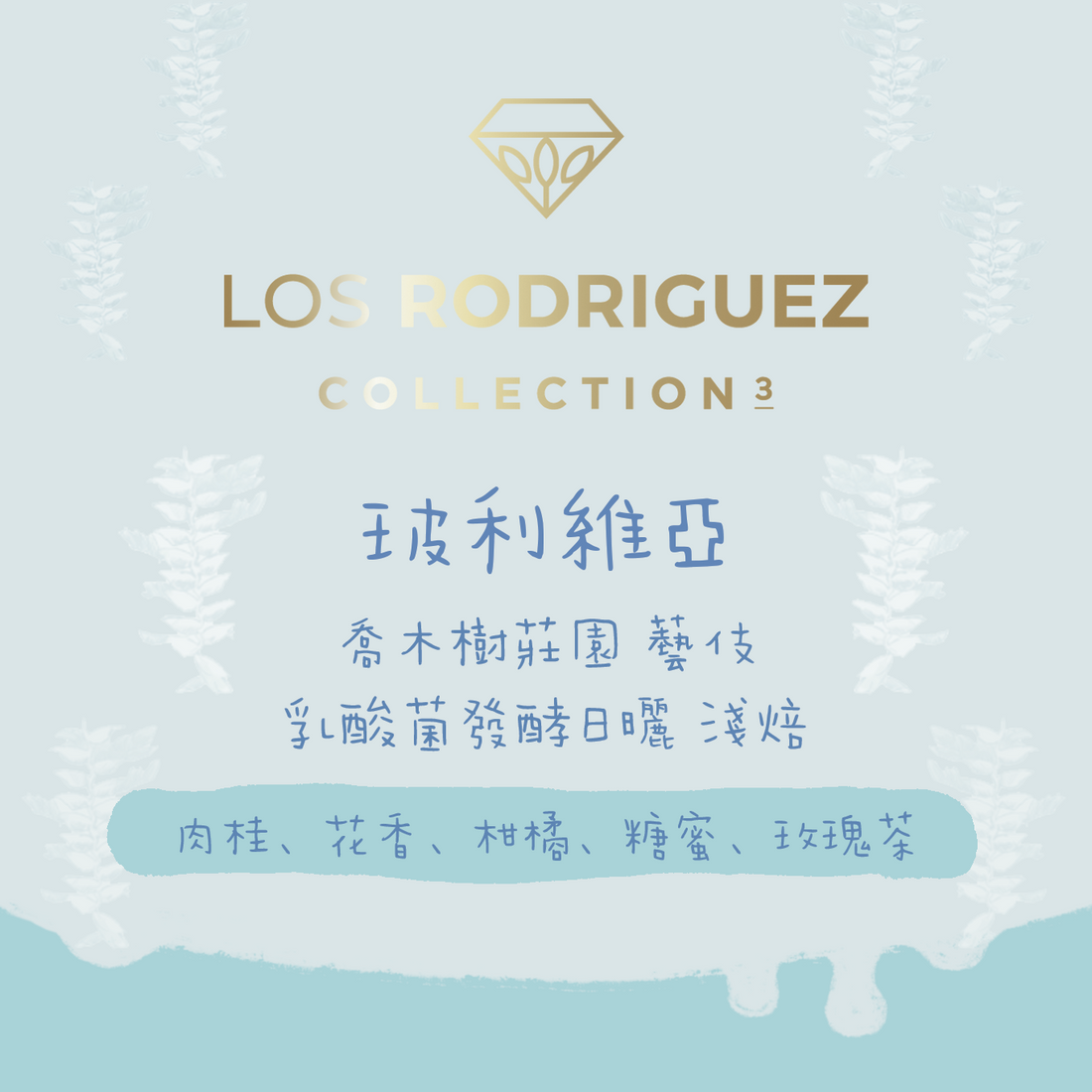 【競標批次 - Los Rodriguez珍藏】玻利維亞|喬木樹莊園 藝伎 乳酸菌發酵日曬 淺焙|咖啡豆 掛耳包