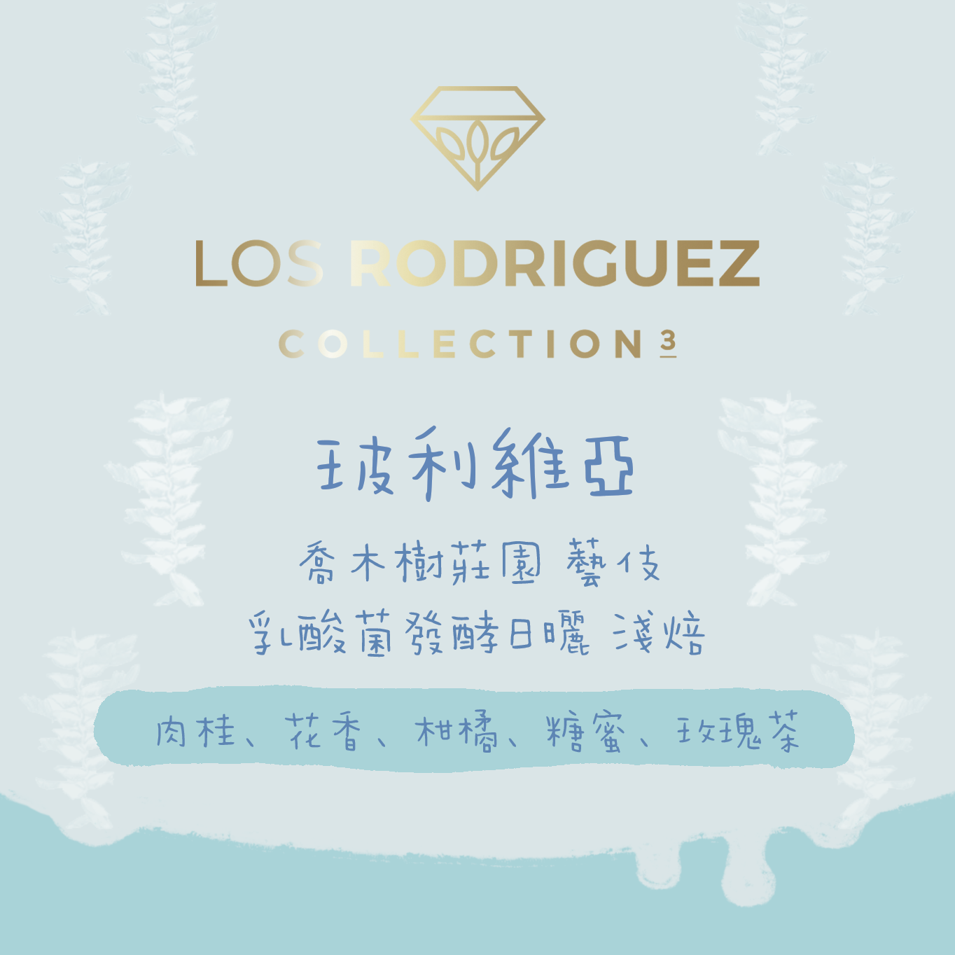 【競標批次 - Los Rodriguez珍藏】玻利維亞｜喬木樹莊園 藝伎 乳酸菌發酵日曬 淺焙｜咖啡豆 掛耳包