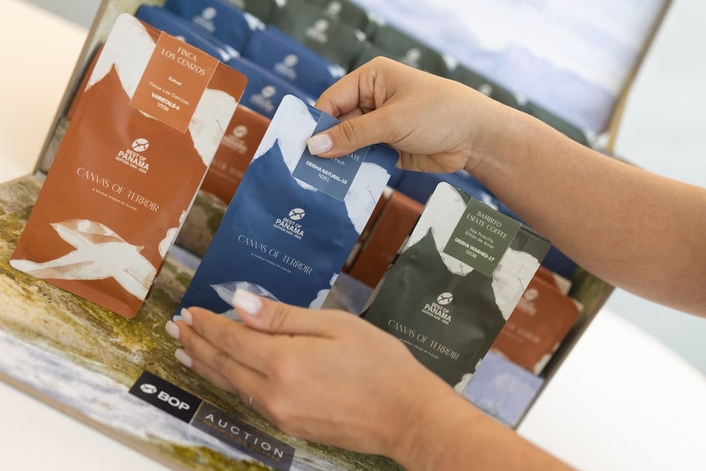 【限量品】 Best of Panama - Tasting Workshop