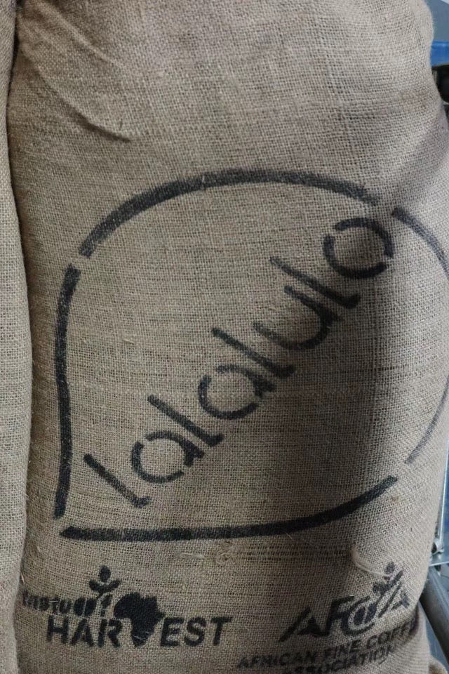 【少量 - 2025TOH非洲日曬組冠軍】埃塞俄比亞｜ 古吉 LULO COFFEE 74158 日曬 淺焙｜咖啡豆 掛耳包