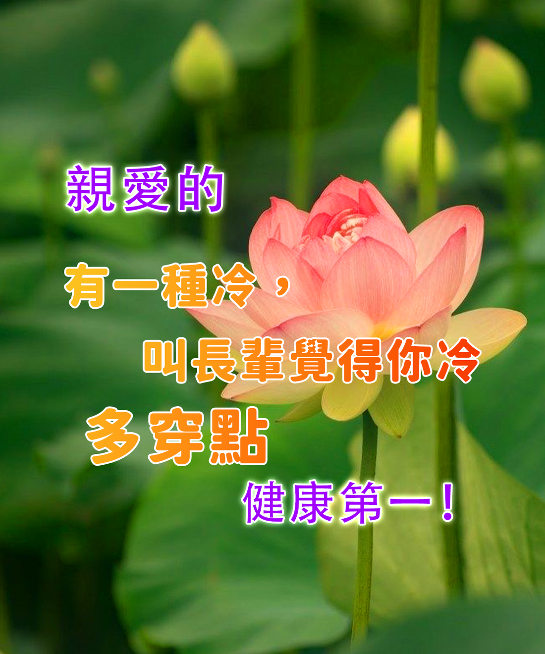 長輩圖 掛耳包