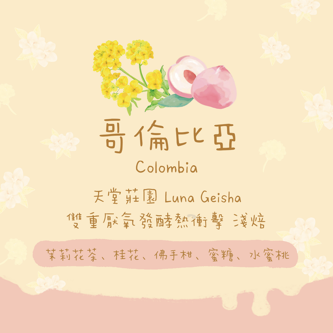 【成本分享$88/100g🤩】哥倫比亞｜天堂莊園 酵母發酵 熱衝擊 Luna Geisha 淺焙｜咖啡豆 掛耳包