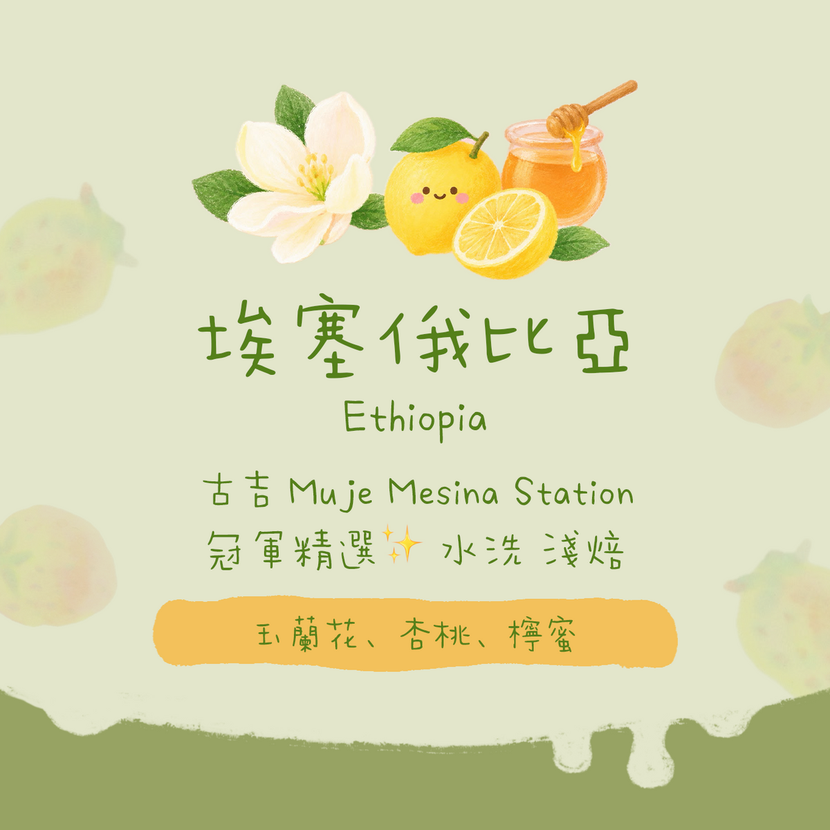 【冠軍精選✨】埃塞俄比亞｜Guji Muje Mesina 2018 WBC冠軍選用處理站 水洗｜咖啡豆 掛耳包