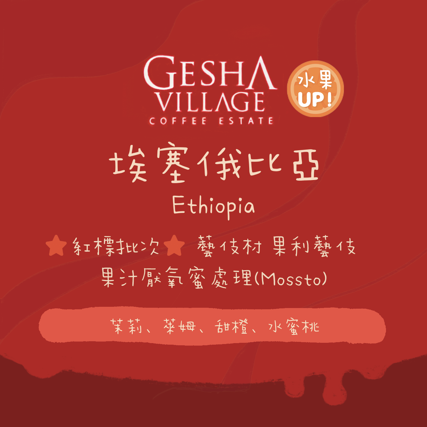 【必買🔥水果UP！】埃塞俄比亞｜藝伎村莊園 夏瓦-吉泊布區 果利藝妓 果汁厭氧蜜處理(Mossto) 淺焙｜咖啡豆 掛耳包