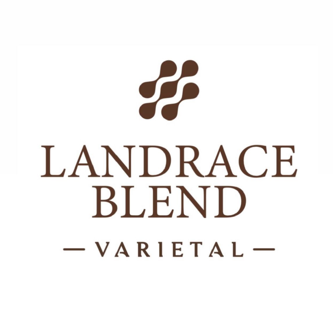 【翡翠莊園實驗品種】巴拿馬｜翡翠莊園 Landrace Blend 水洗 淺焙｜咖啡豆 掛耳包