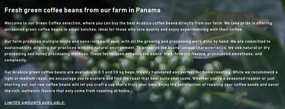巴拿馬｜De Cafe Panama Terroir 藝伎 蜜處理 淺焙｜咖啡豆 掛耳包