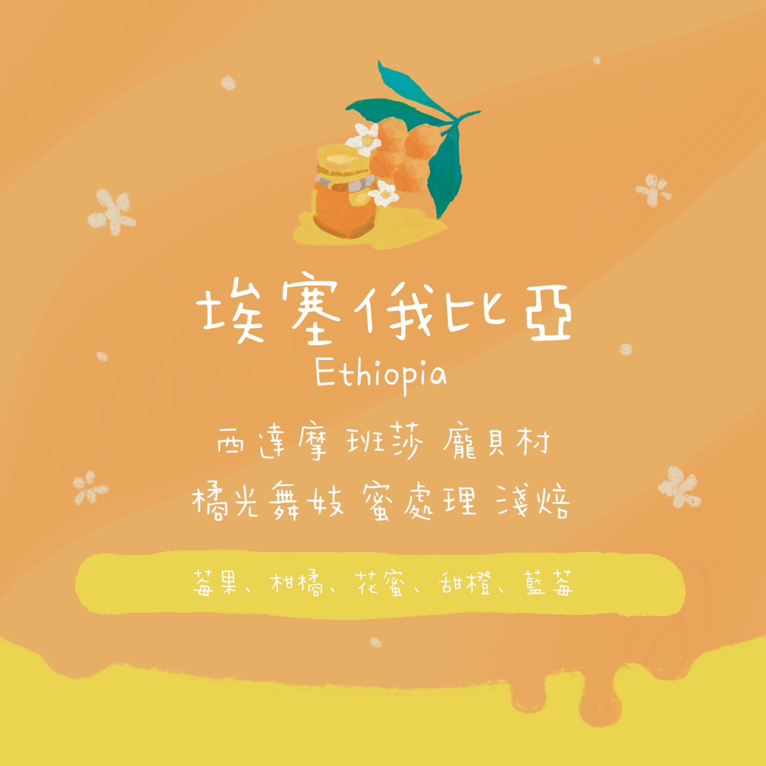 【必買🥳】埃塞俄比亞|西達摩 班莎 龐貝村 橘光舞妓 蜜處理 淺焙|咖啡豆 掛耳包