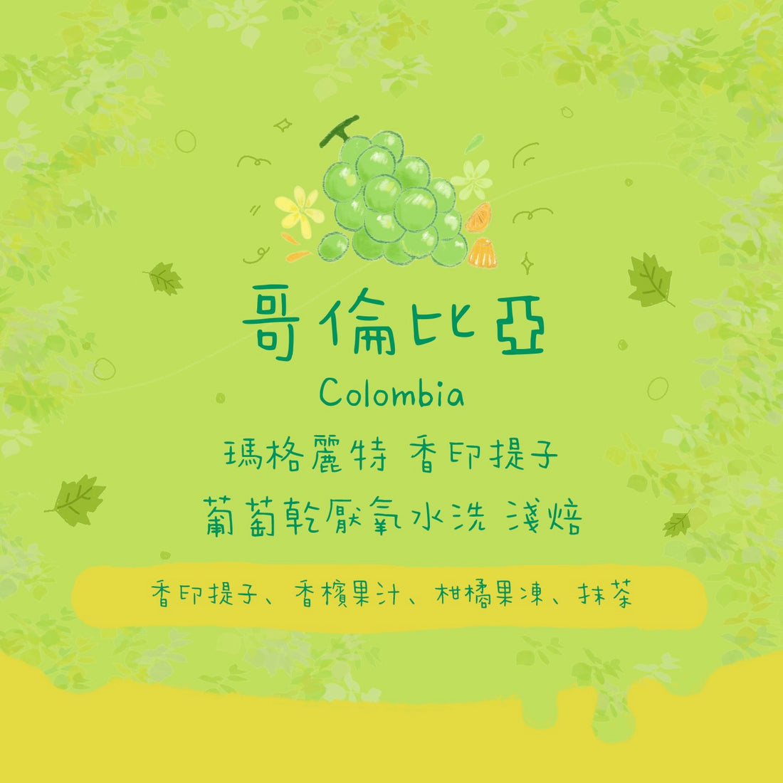 【香印提子🍇】哥倫比亞｜瑪格莉特 香印提子 葡萄乾厭氧水洗 淺焙｜咖啡豆 掛耳包