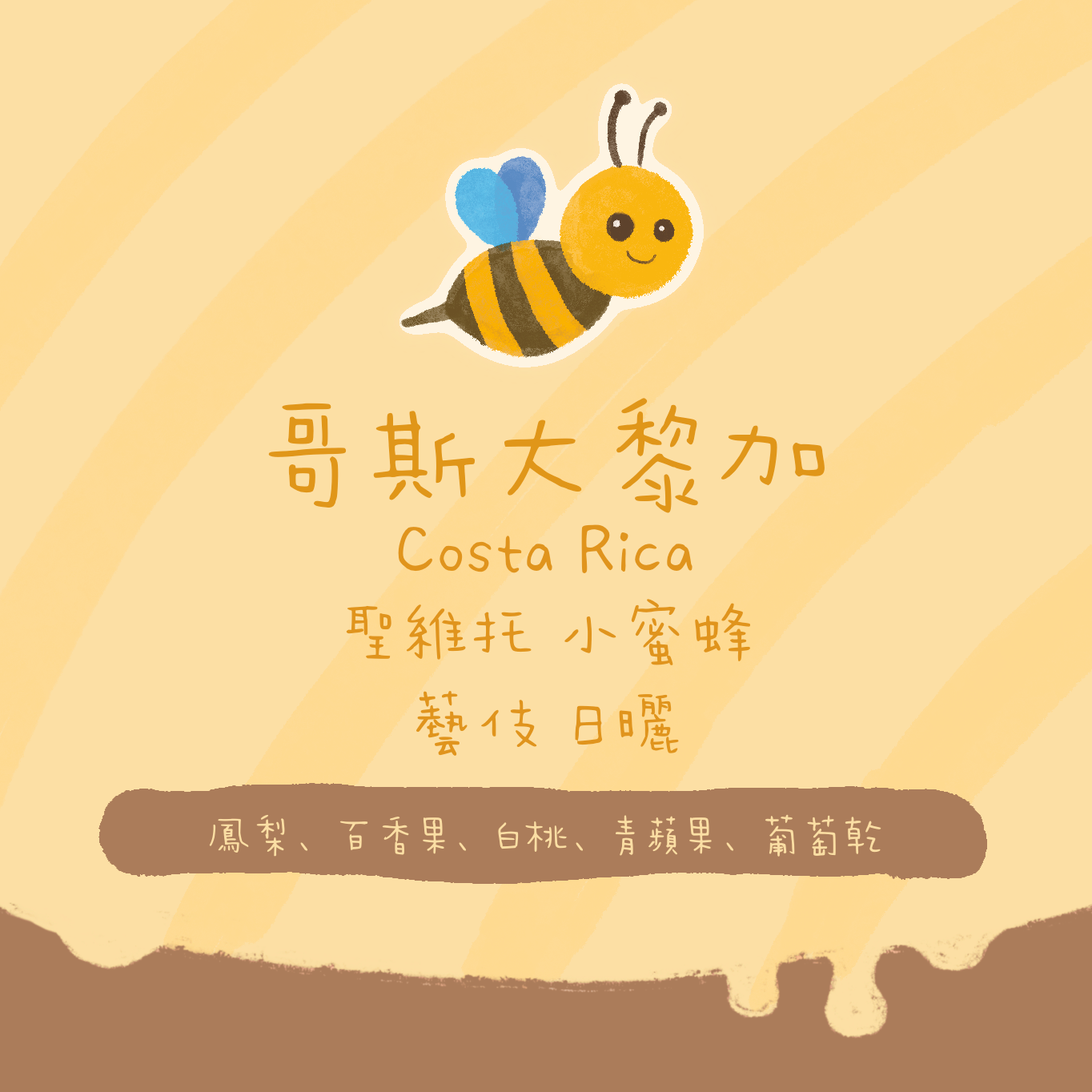 哥斯達黎加｜聖維托 小蜜蜂 藝伎/瑰夏 日曬 淺焙｜咖啡豆 掛耳包