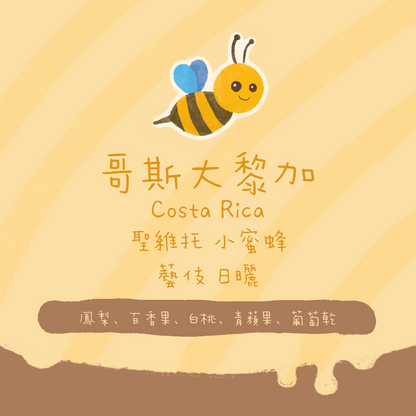 哥斯達黎加｜聖維托 小蜜蜂 藝伎/瑰夏 日曬 淺焙｜咖啡豆 掛耳包