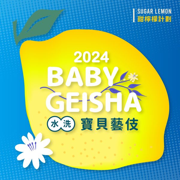 【新批次】埃塞俄比亞｜ 吉瑪莉姆 果美村 甜檸檬計畫 寶貝藝伎 水洗 淺焙｜咖啡豆 掛耳包