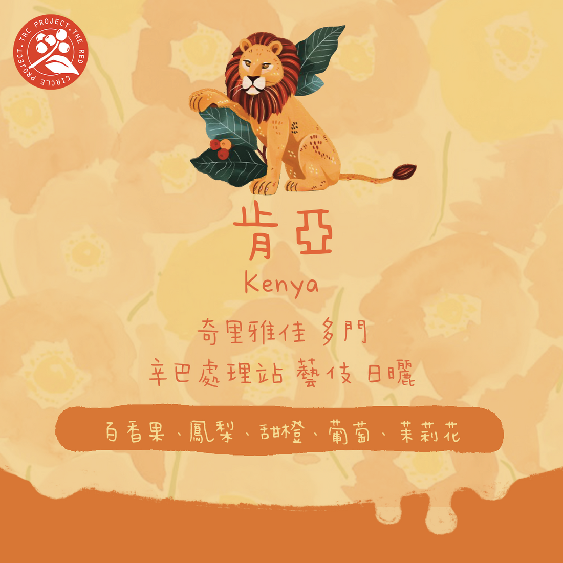 【呵呵 只有少量🥳】肯亞｜多門 辛巴藝伎 日曬 淺焙｜咖啡豆 掛耳包