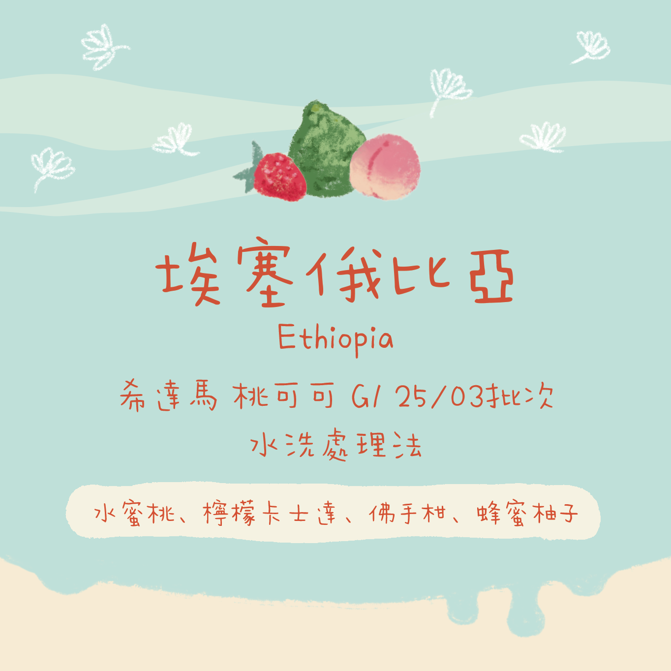 【必買の桃可可】埃塞俄比亞｜希達馬 桃子甜心/桃可可 G1 25/03批次 水洗 淺焙｜咖啡豆 掛耳包