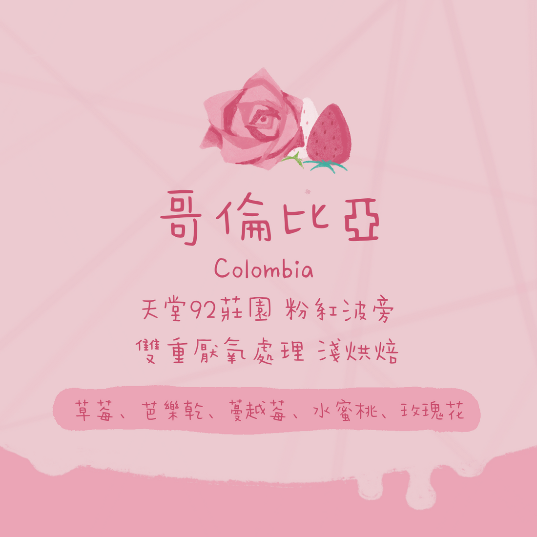 【最後幾包】哥倫比亞｜天堂92莊園 粉紅波旁 雙重厭氧處理 P-09 淺焙｜咖啡豆 掛耳包