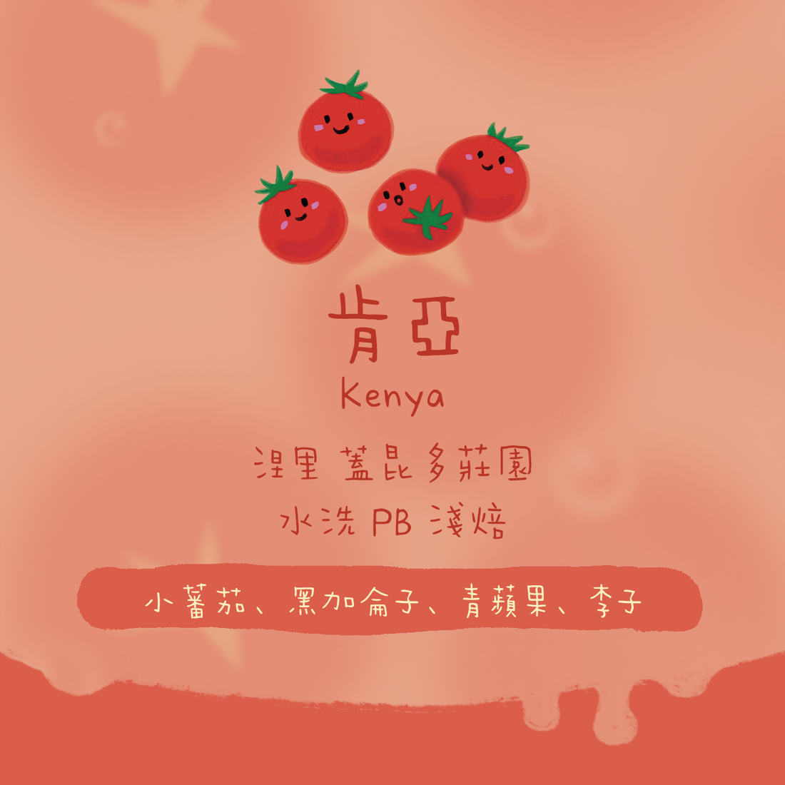 【小蕃茄🍅】肯亞｜涅里 蓋昆多處理站 PB 水洗 淺焙｜咖啡豆 掛耳包