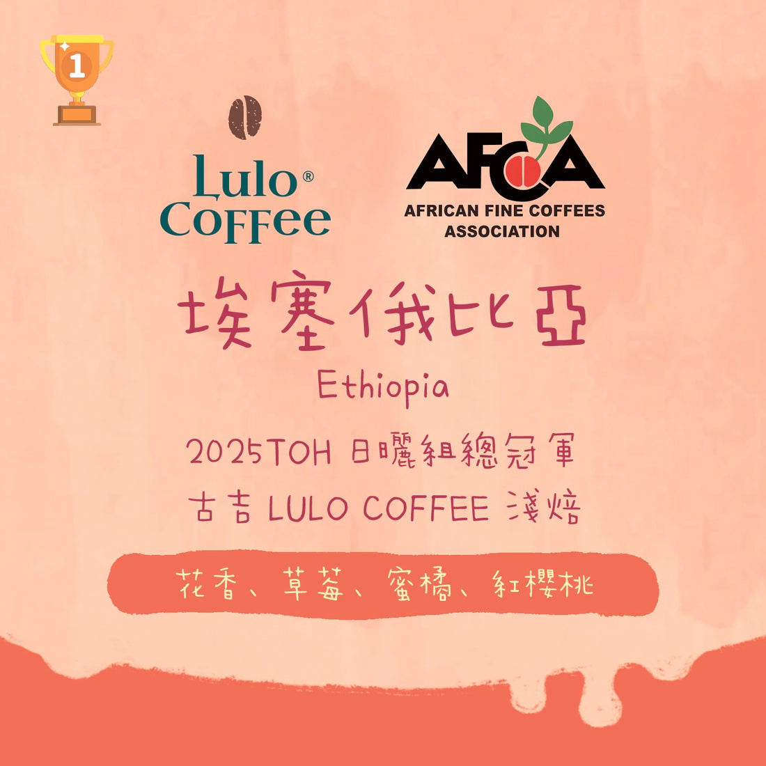 【少量 - 2025TOH非洲日曬組冠軍】埃塞俄比亞｜ 古吉 LULO COFFEE 74158 日曬 淺焙｜咖啡豆 掛耳包