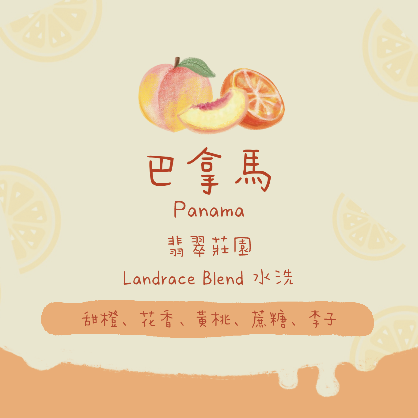 【🌟翡翠莊園】巴拿馬｜翡翠莊園 Landrace Blend 水洗 淺焙｜咖啡豆 掛耳包