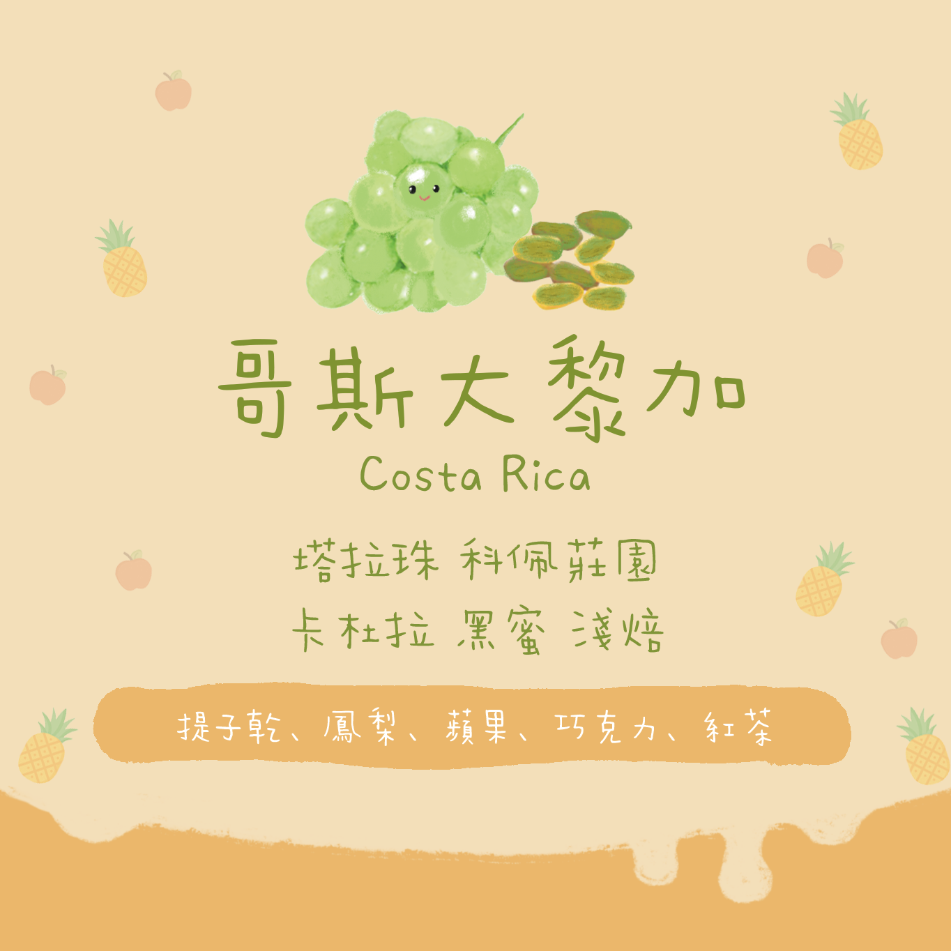 【精選黑蜜】哥斯達黎加｜塔拉珠 科佩莊園 卡杜拉 黑蜜處理 淺焙｜咖啡豆 掛耳包