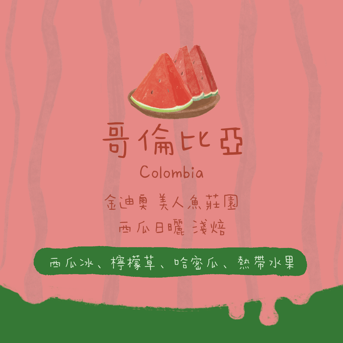 【西瓜冰】哥倫比亞｜金迪奧 美人魚莊園 西瓜日曬 淺焙｜咖啡豆 掛耳包