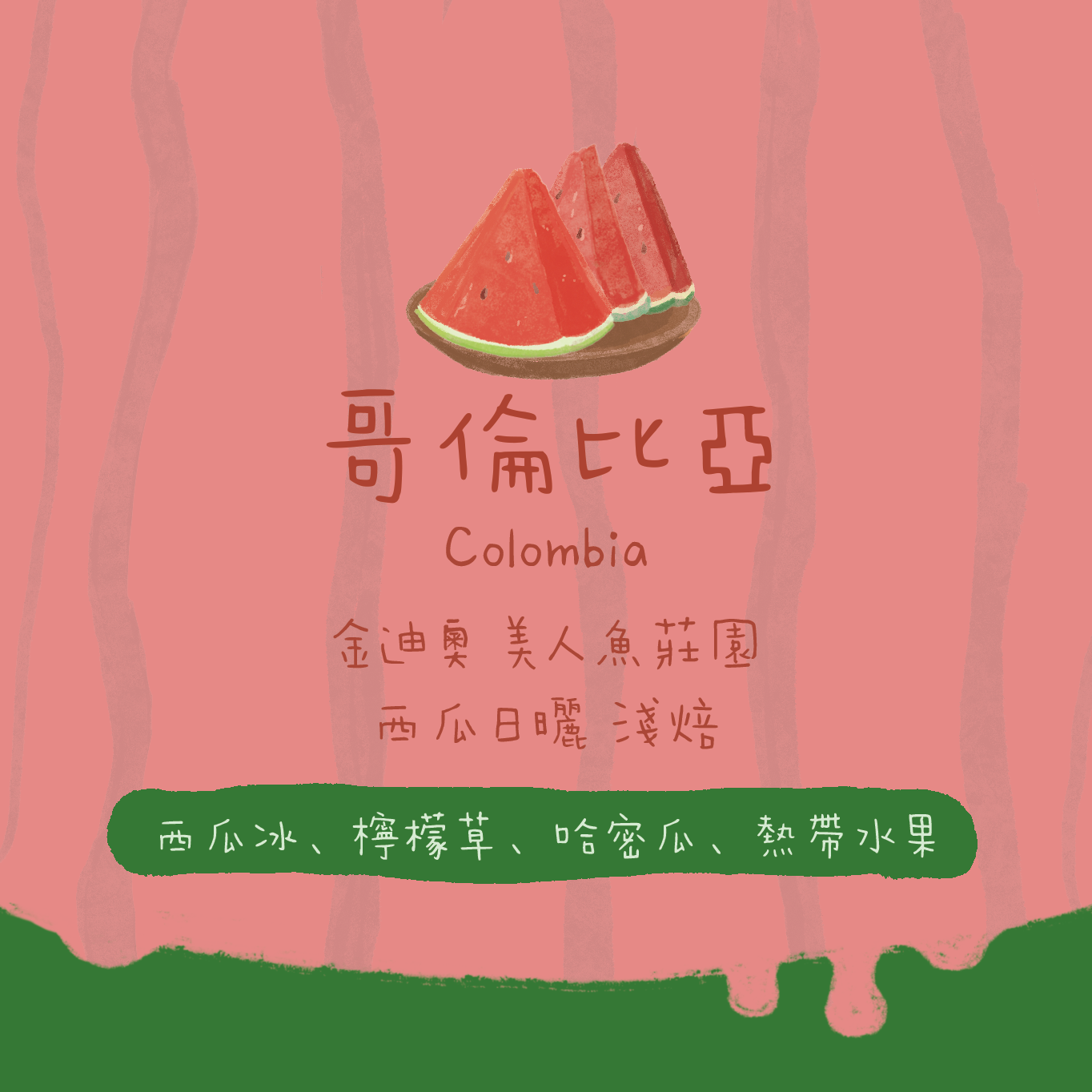 【西瓜冰】哥倫比亞｜金迪奧 美人魚莊園 西瓜日曬 淺焙｜咖啡豆 掛耳包
