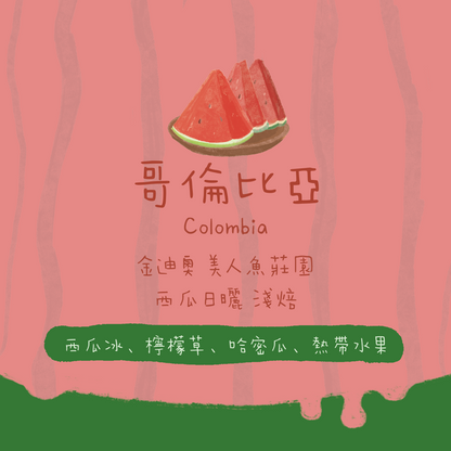 【最後幾包 - 西瓜冰】哥倫比亞｜金迪奧 美人魚莊園 西瓜日曬 淺焙｜咖啡豆 掛耳包